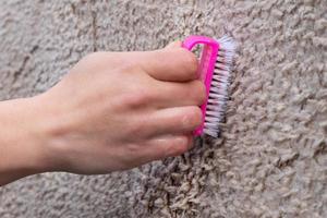 brushing a light-colored carpet with detergent photo