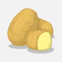 potato illustration vector