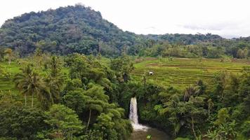 Aerial view, Waterfall in tropical forest. photo