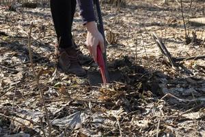 una chica con un puntero excava en el suelo en busca de monedas perdidas foto