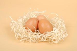 huevos de gallina en el primer plano del nido, concepto de huevos de Pascua foto