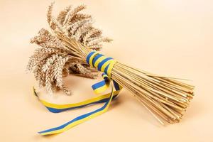 global grain crisis, bouquet with wheat wrapped in a yellow-blue ribbon symbolizing Ukraine photo