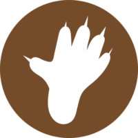 Animal footprint icon sign symbol design png