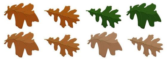 Set of oak autumn leaves in different colors. Oak Grove. Cartoon vector