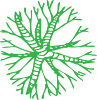 Baum-Symbol-Zeichen-Symbol-Design png