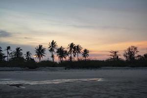 Panorama ,Coconut trees and trees separating the beach Chao Samran and the road , Sky in the evening after sunset photo