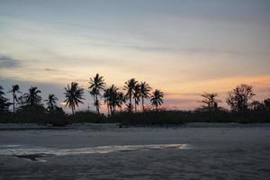 panorama, cocoteros y árboles que separan la playa chao samran y la carretera, cielo por la noche después del atardecer foto