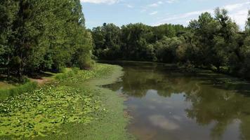 veduta aerea del fiume del braccio morto video