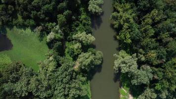 Luftbild von oben nach unten auf einen Fluss und einen toten Fluss