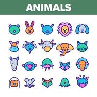 Animals Collection Wild And Farm Icons Color Set Vector