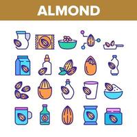 conjunto de iconos de colección de alimentos naturales de almendras vector