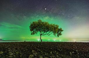 A tree at Chumphon beach, Chumphon province. The movement of clouds and the Milky Way. The mangrove area receives the green light from fishing boats. photo