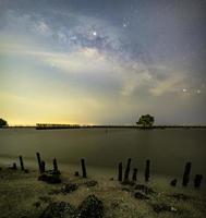 The Milky Way above a single tree and the bamboo landscape prevents the sea from breaking the coast. photo