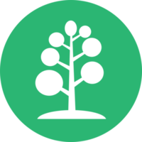 Baum-Symbol-Zeichen-Symbol-Design png