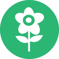 Flower icon flora sign symbol design png