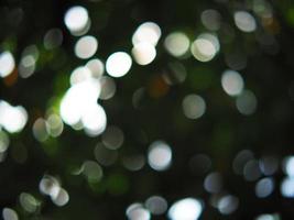 Bokeh blur background green forest photo