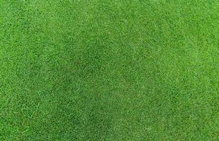 Green grass texture background. Golf course grass. Top view of green grass of turf lawn texture background. Turf grass on golf course. Sports field. Turf care business background. Lawn carpet texture. photo