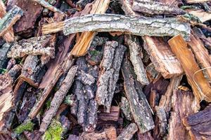 Photography on theme big wall of stacked oak tree logs in cracks photo