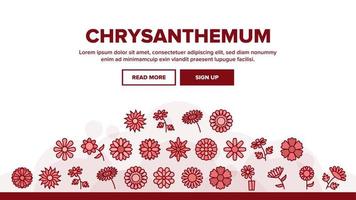 Chrysanthemum Flower Landing Header Vector