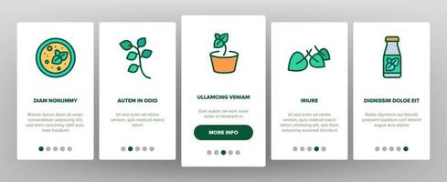 Oregano Herbal Plant Onboarding Icons Set Vector