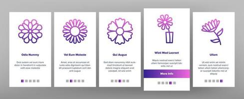 Chrysanthemum Flower Onboarding Icons Set Vector