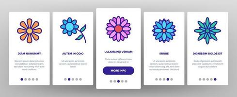 Chrysanthemum Flower Onboarding Icons Set Vector