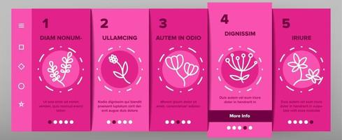 Wildflower Natural Onboarding Icons Set Vector