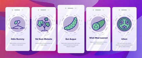 Cucumber Vegetable Onboarding Icons Set Vector