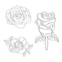 Rose flower on white background. One line drawing style. Rose flower line art. vector