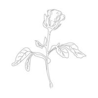 Black line art rose. Hand drawn flower. Hand drawn rose flower vector