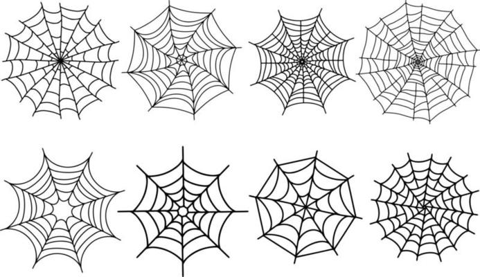 Spider Web Vector Art, Icons, and Graphics for Free Download