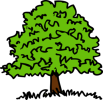 bomen met bladeren pictogram teken ontwerp png