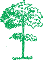 bomen met bladeren pictogram teken ontwerp png