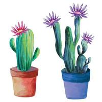 set of blooming cactus in a pot illustration vector