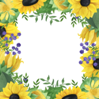 marco transparente acuarela girasoles con hojas y ramitas de gypsophila png. para guardar la fecha, el día de la madre, la invitación, el saludo, la plantilla, etc. png