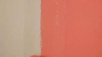 paint the walls in peach color with a roller, refurbishment in the room video