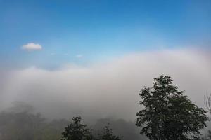 Natural phenomena. Fogbow or White rainbow occurs above the  mist. photo