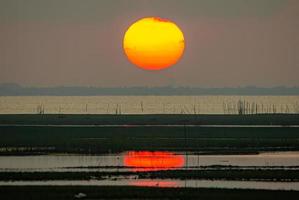 el gran amanecer es naranja. amanecer sobre el mar y el bosque de manglares foto