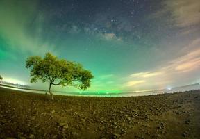 One tree at Chumphon beach, Chumphon province. The movement of clouds and the Milky Way. The mangrove area receives green light from fishing boats. photo