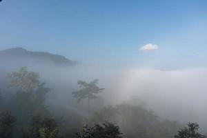 Natural phenomena. Fogbow or White rainbow occurs above the  mist. photo