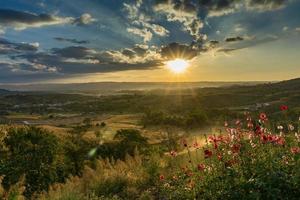 Sunset behind the mountain. flower , tree and grass photo