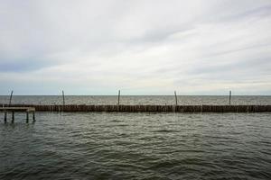 Dried bamboo together into the sea. Prevent coastal erosion from seawater. photo