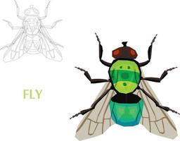 Insects Sketch to Vector Illustration