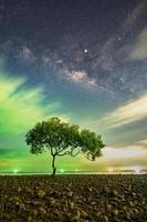A tree at Chumphon beach, Chumphon province. The movement of clouds and the Milky Way. The mangrove area receives the green light from fishing boats.