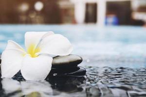 Vintage style photo is white plumeria with water pool background