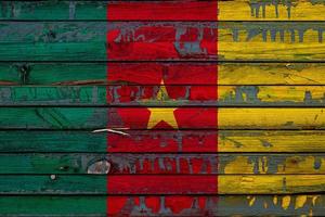 The national flag of Cameroon  is painted on uneven boards. Country symbol. photo