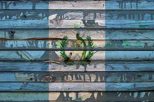 la bandera nacional de guatemala está pintada en tablas irregulares. símbolo del país. foto