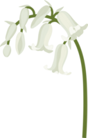 Bluebell flower hand drawn illustration. png