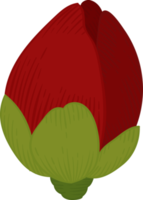 handgezeichnete illustration der roten kamelienblume. png