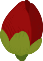 Red camellia flower hand drawn illustration. png